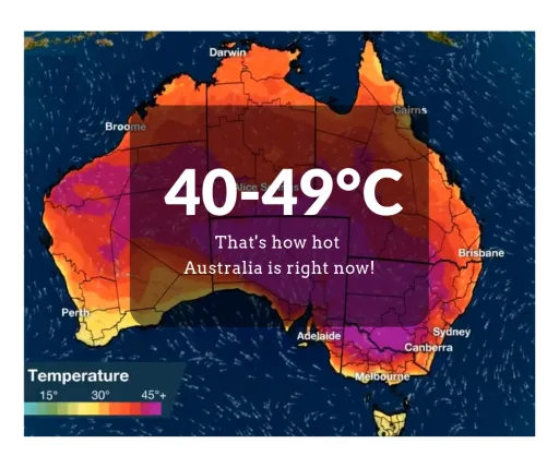 Image for article Australia Experiences Record-Breaking Heatwave