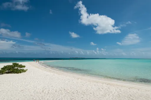 Image for article 8 Things That May Surprise You on Your First Visit to The Maldives