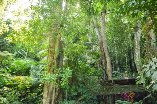 Image for article An Insider’s Guide to Penang’s Newest Hipster Hangouts, Food and Cafes