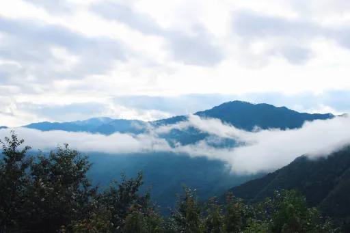 Image for article Skip Taipei: 6 Best Leisure Farms to Visit in Rural Taiwan