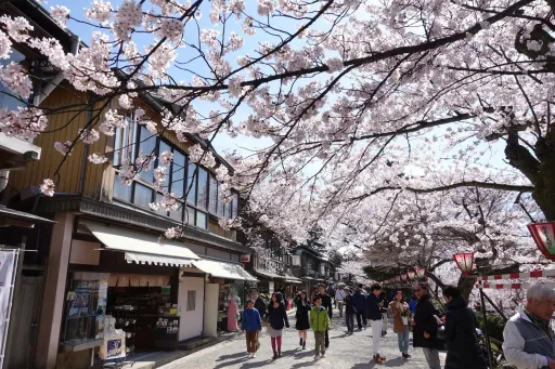 Image for article 8 Reasons to Visit Kanazawa, Japan — Kyoto’s Less Touristy Counterpart