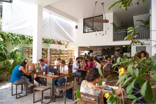 Image for article 5 Hipster Cafes to Check Out in Phnom Penh, Cambodia
