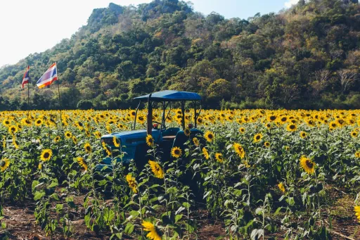Image for article Bangkok Train Trip: A Budget Itinerary for Ayutthaya and Lopburi