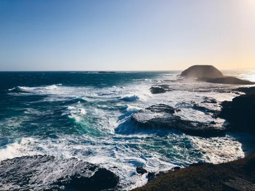 Image for article Tips For A Good Experience on Phillip Island