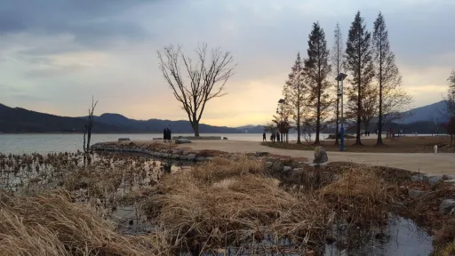 Image for article 7 Things to Do in Yangpyeong While on a Day Trip from Seoul