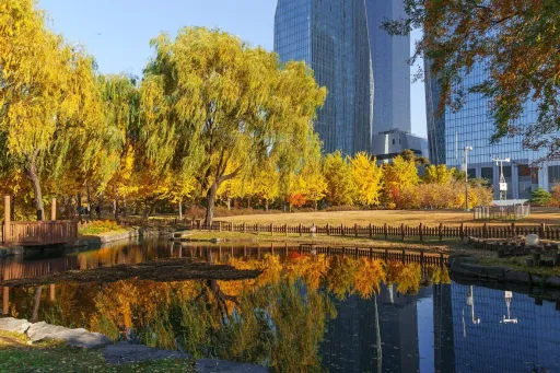 Image for article Explore Yeouido: 8 Things to Do in Seoul’s Business District
