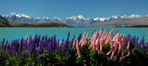 Image for article 10D New Zealand Road Trip Itinerary For All First-Timers