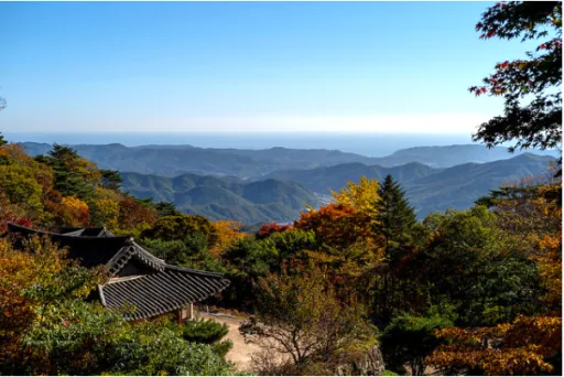 Image for article Here’s Why I Think South Korea Is More Than Just Its Beauty Hauls