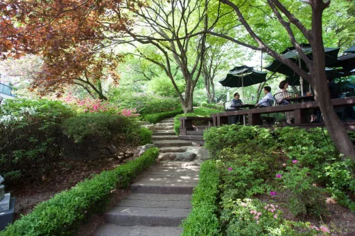 Image for article 12 Outdoor Cafés in Korea with Summer Views