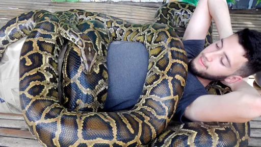 Image for article 8 Fun and Unique Things to Do in The Philippines