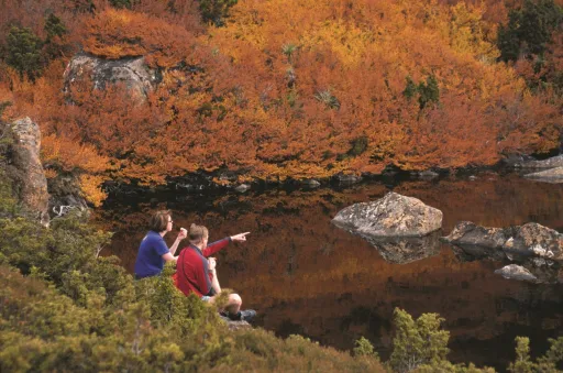 Image for article 5 Reasons Why You Should Visit Tasmania in Autumn & Winter