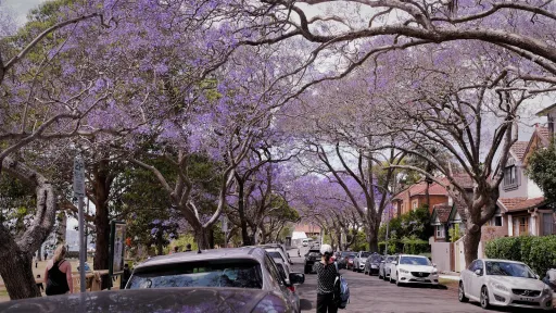 Image for article Reasons Why Australia Stole My Heart