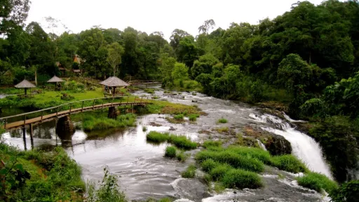 Image for article 9 Things to Do in the Bolaven Plateau, Laos