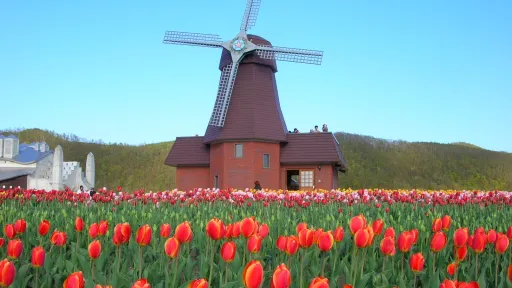 Image for article 8 Must-Visit Places in Japan During Spring