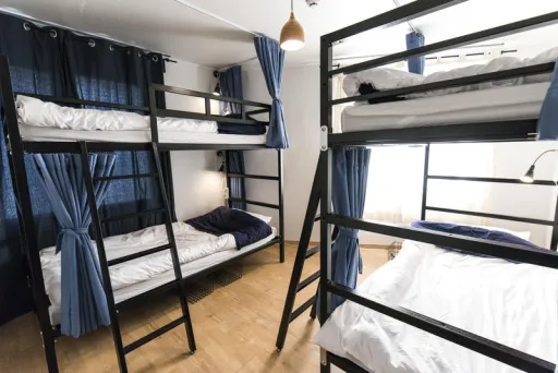 Image for article 7 Best Budget-Friendly Hostels in Korea