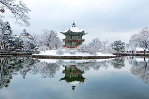 Image for article Top 7 Tips to Survive (And Actually Enjoy) Winter in Korea