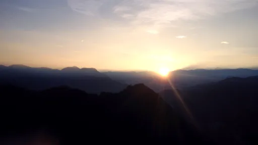 Image for article My Trip to Alishan: Spending a Night in the Mountains of Taiwan