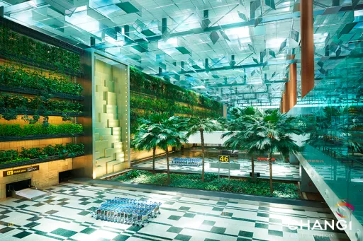 Image for article Fun Things to Do in Changi Airport Whether You’re A Local or Tourist