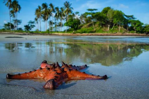 Image for article 9 Things to Do & Places to Visit in Kep, Cambodia