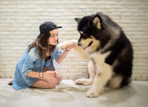 Image for article 10 Animal Cafés in Thailand You’ll Never Want To Leave After Visiting