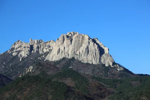 Image for article 6 Unique Things to Do in Sokcho