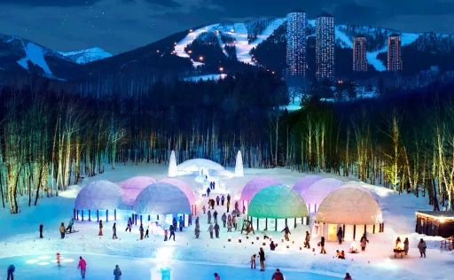 Image for article A 5D4N Hokkaido Family Itinerary Perfect for a Year-End Road Trip