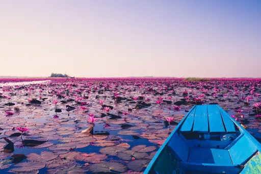Image for article Thailand’s Must-Do: Go Boating on the Red Lotus Sea