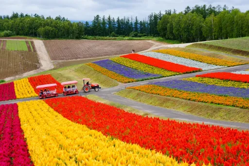 Image for article Road Trip in Hokkaido: 3 Secret Tips That You MUST Know