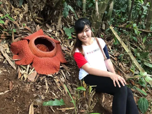 Image for article Guide to Hiking in Cameron Highlands in Search of the Elusive Rafflesia