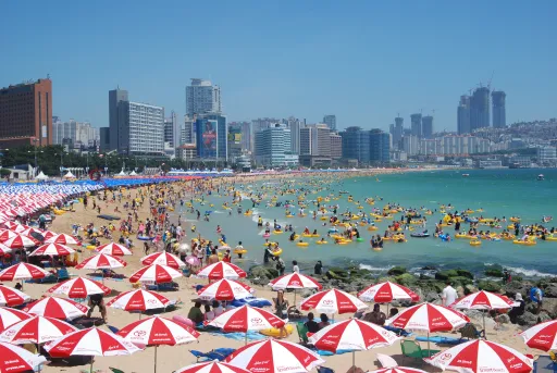 Image for article Top 5 Beaches to Visit in Busan This Summer