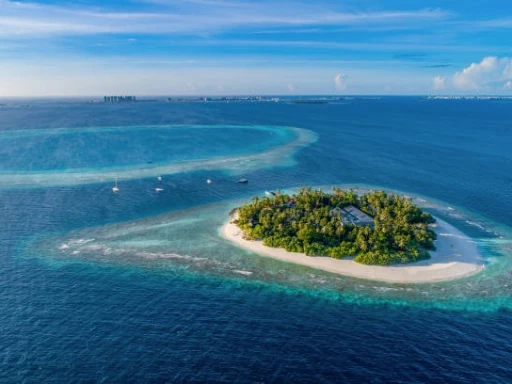 image for article Travel Guide to Maldives from India 2023
