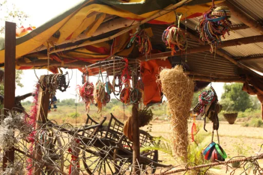 Image for article Cambodia’s Dark History Revisited