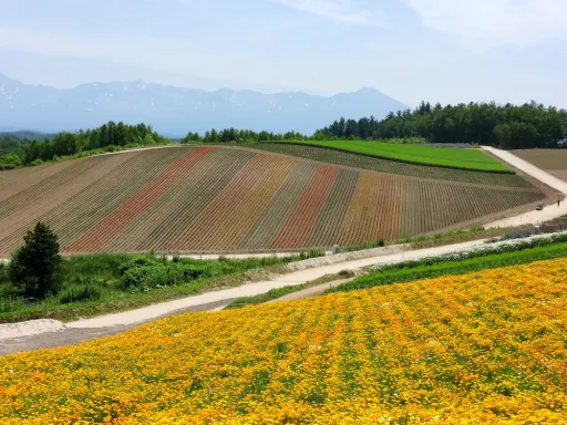 Image for article One-Week Summer Itinerary for Hokkaido