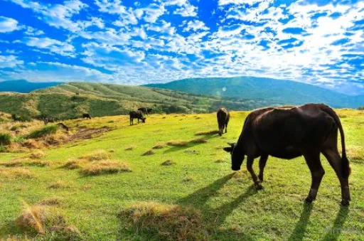 Image for article 뻔한 대만 여행 일정은 비켜라! 대만 가서 꼭 해야 할 탑 13