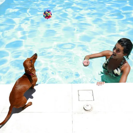 Image for article 7 Pet-Friendly Resorts Near Manila for Your Next Fur-fect Getaway