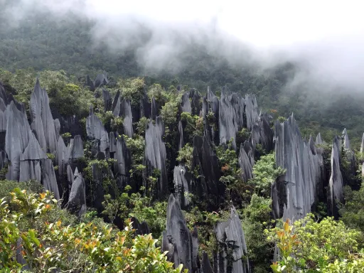 Image for article Exploring Sarawak: Attractions to Visit and Things to Do