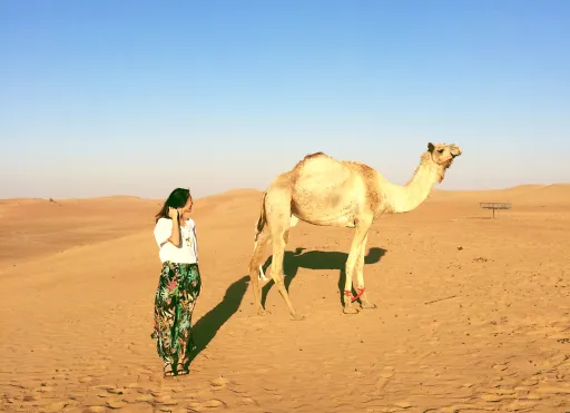 Image for article An Unforgettable Week in Dubai: 12 Things to Do in this Glitzy Playground