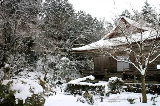 Image for article My Experience Staying Overnight in Jorengein Temple, Kyoto