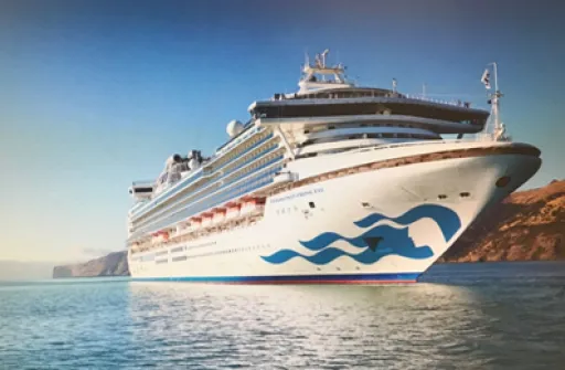 Image for article Diamond Princess’s New Livery is Out and We Can’t Wait to See it