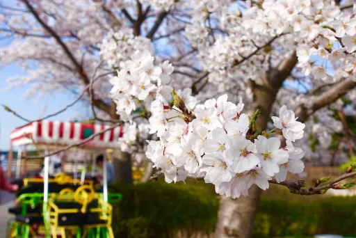 Image for article Think You Know Korea? Think Again! – 15 DIFFERENT Experiences to Have