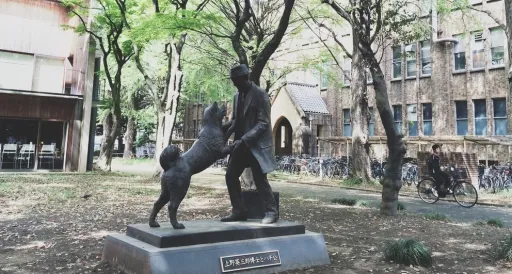Image for article Hachiko and Professor Ueno Finally Reunited at This Spot in Tokyo University