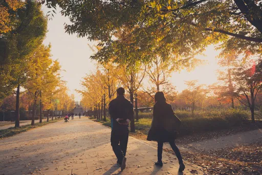 Image for article 8 Attractions in Seoul that Most Tourists Don’t Know About