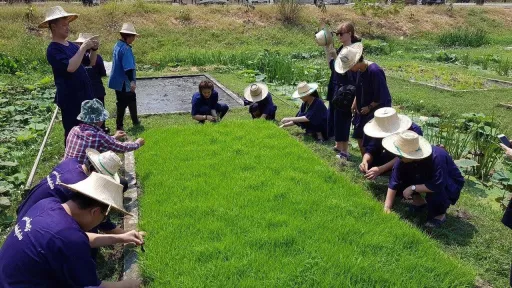 Image for article The Organic Agriculture Project in Sukhothai Airport Offers Hands-On Farming