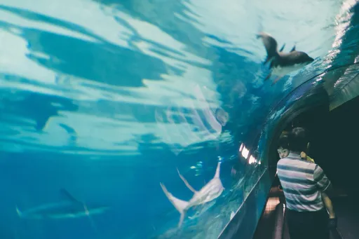 Image for article 10 Fun & Family-Friendly Things to Do in Seoul