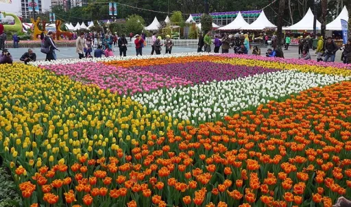 Image for article Filipinos Can Experience Spring at These 9 Visa-Free Destinations