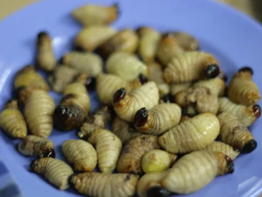 Image for article 9 Bizarre Foods in Malaysia — Can You Stomach Them All?