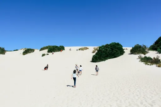 Image for article Kangaroo Island’s Best Attractions in 2 Days