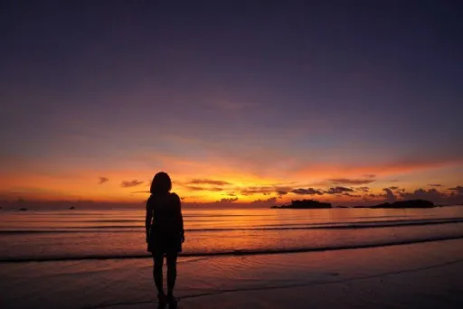 Image for article 完成【东海岸】自驾游前，你需要知道的事