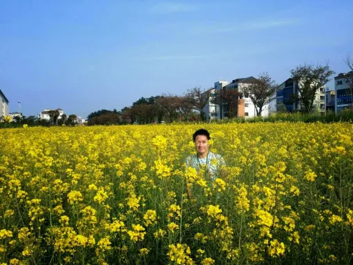 Image for article How Filipinos Can Enter Korea Without a Tourist Visa