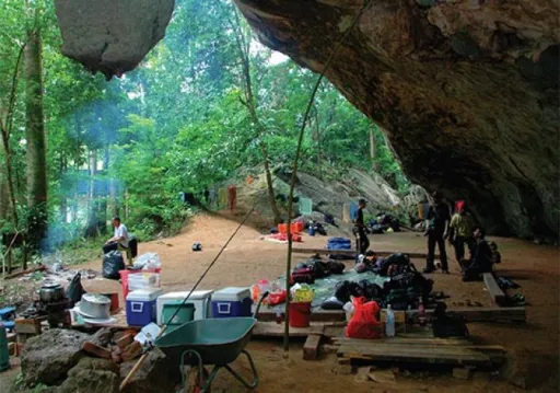 Image for article 最简朴到最豪华！马来西亚10个露营地点推荐